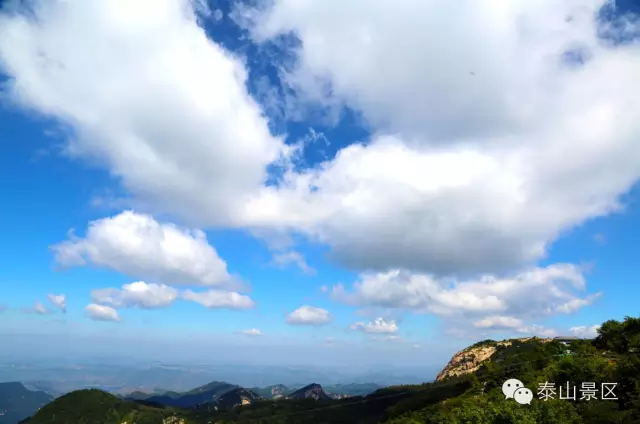 忆泰山之春，盼美好人间