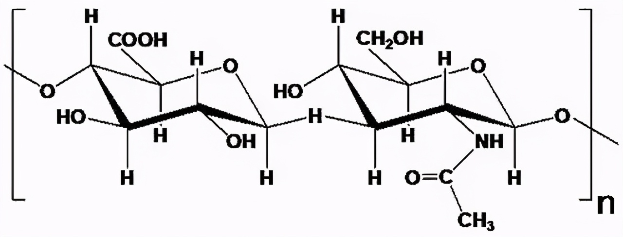 透明质酸，关乎美容，也关乎长寿？