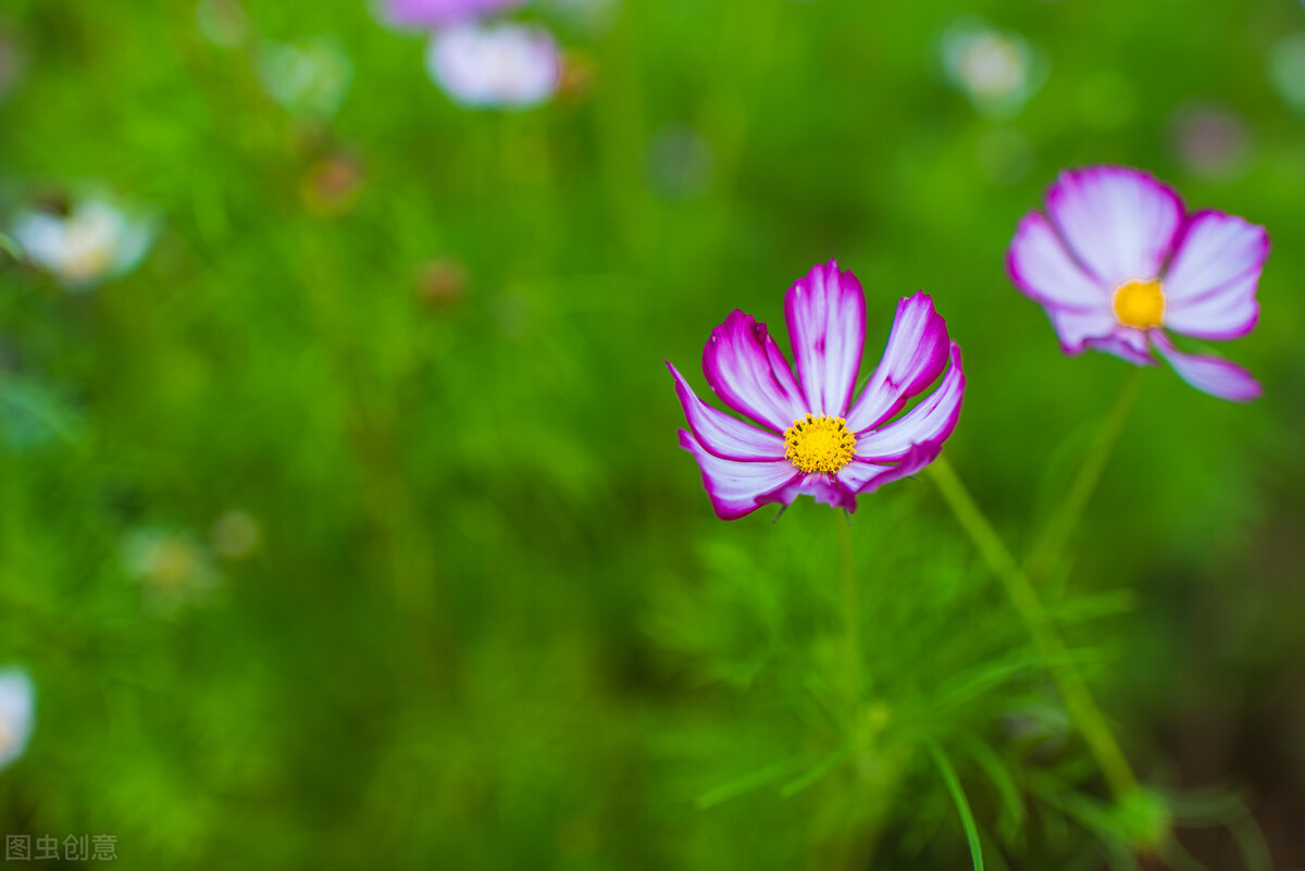 人生在世，只欠父母恩情