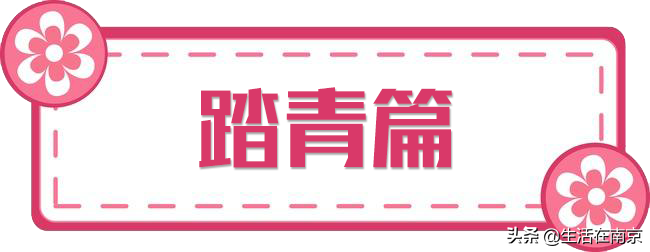 南京小长假出游全攻略，采摘、爬山、踏青、放风筝、博物馆汇总