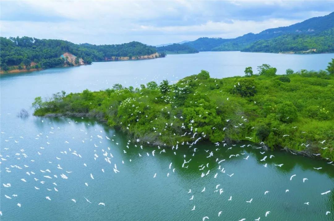 河源周边旅游景点大全_河源一日游最佳景点 密云旅游