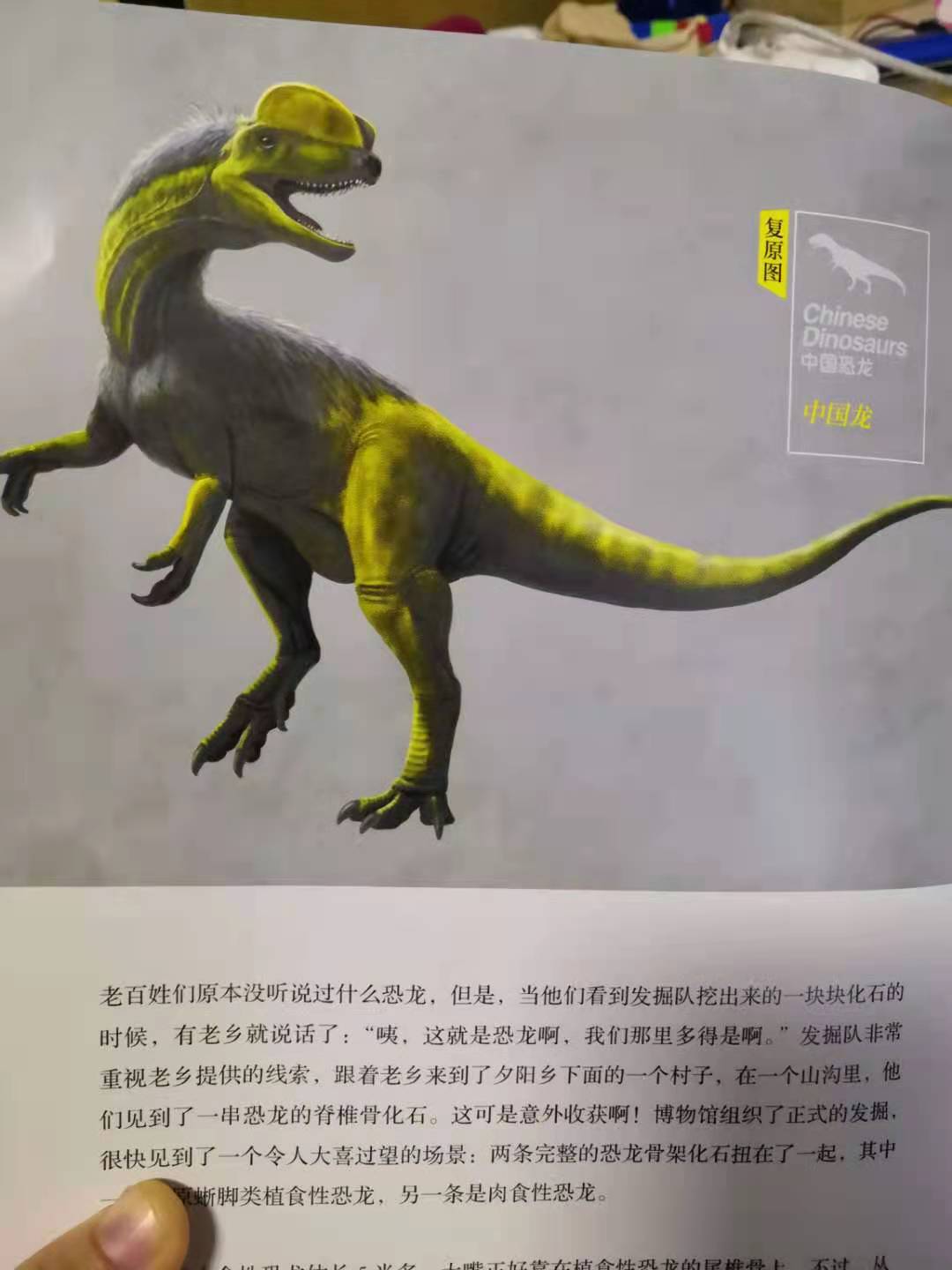 中国的恐龙到底有多少种?