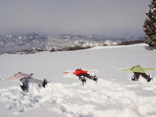 苏北杨末侣行记（10）：林海雪原徒步穿越，亚布雪道激情滑雪