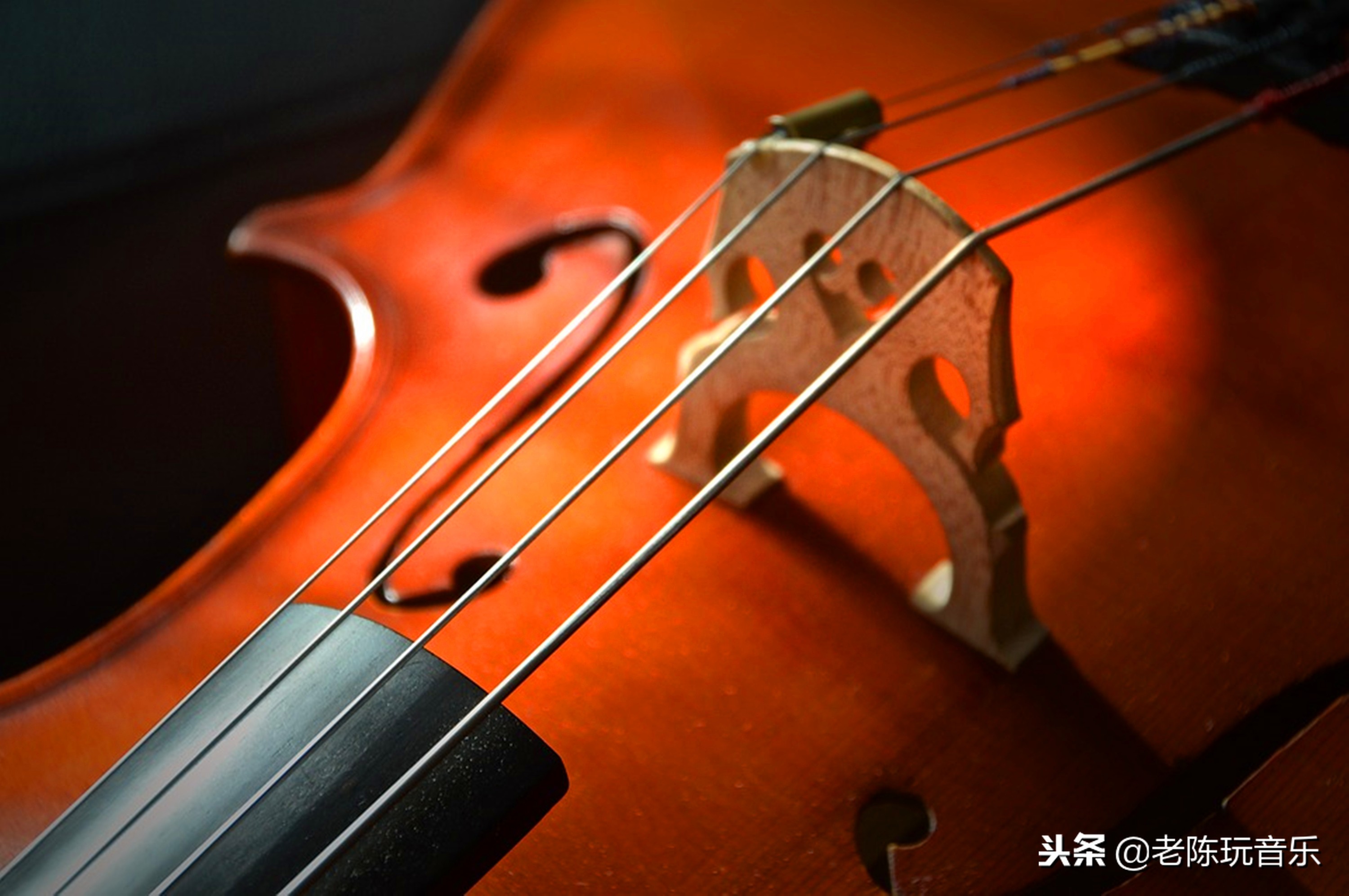 大提琴用什么牌子調(diào)音器好？如何在調(diào)琴的時候保證琴碼不翹起來？