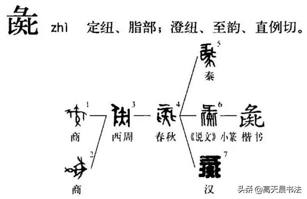 犭怎么读(猪 青木春