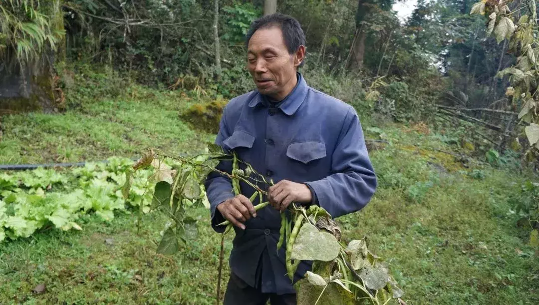 利川这些网红，你晓得几个？