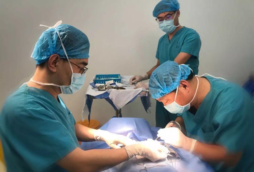 鼻中隔偏曲手术(58岁鼻隔偏曲手术费用高吗) - 科技田(www.kejitian.