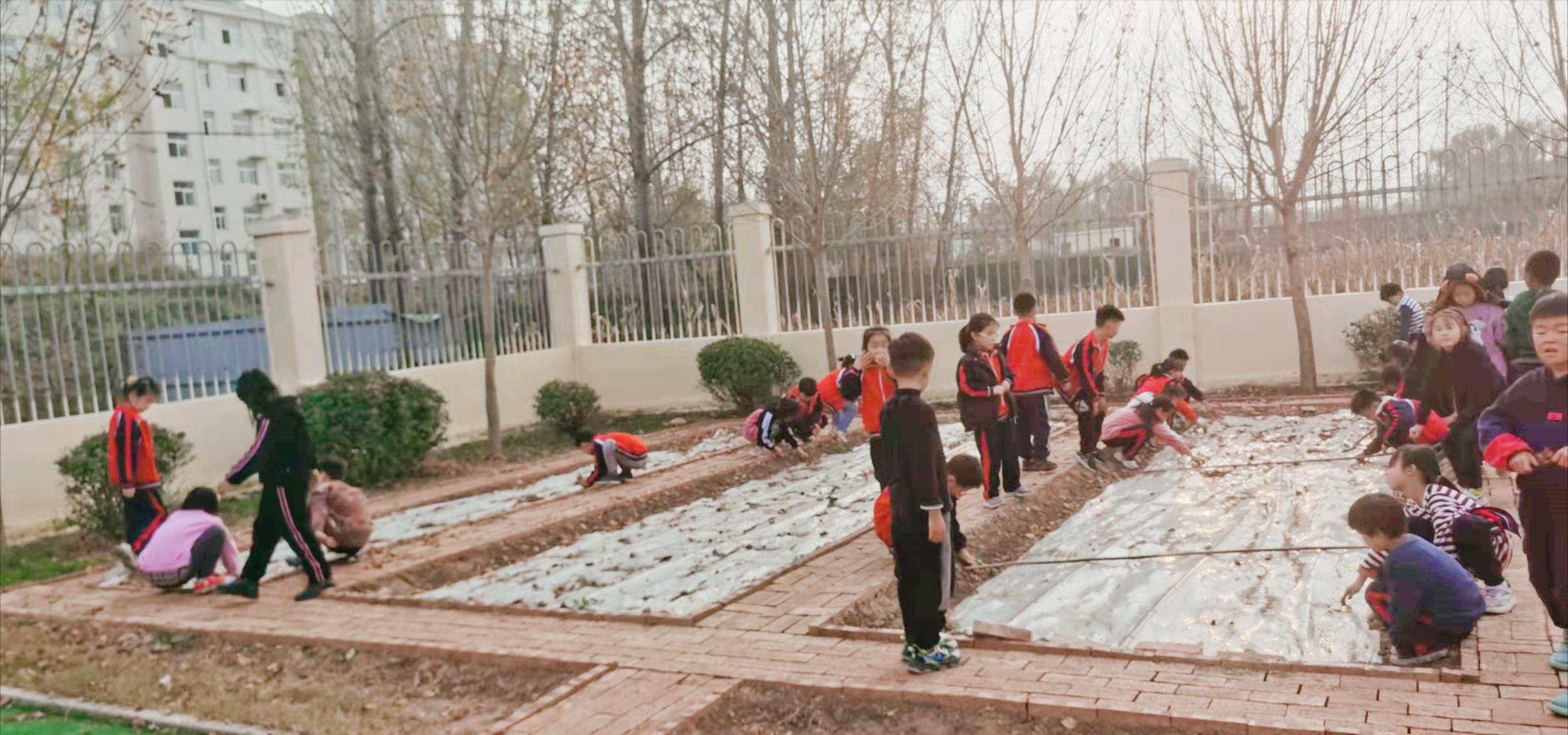 巨野縣孫大廟小學踐行"讓教育回歸生活"(圖2) 巨野縣孫大廟小學踐行"讓教育回歸生活"(圖2)