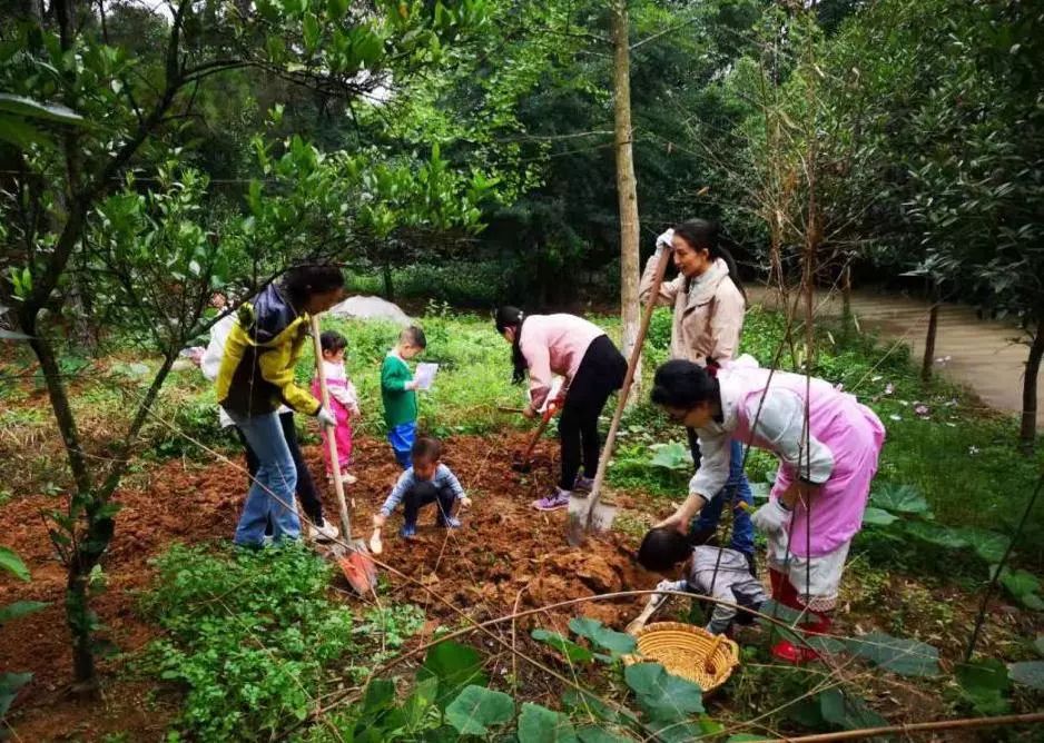 人民智库 | 新时代国际教育资源本土化之路与成都华德福探索