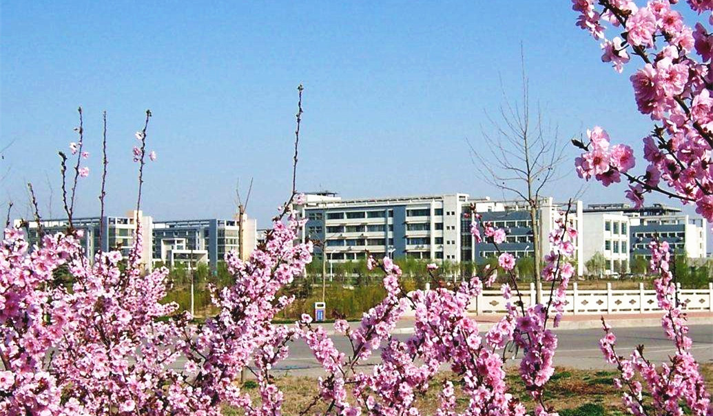 山东这所工科大学实力和发展还不错 录取分数较低的考生可以考虑