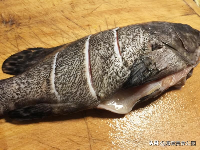 老虎斑鱼的做法(老虎斑鱼怎样去毒)-图5