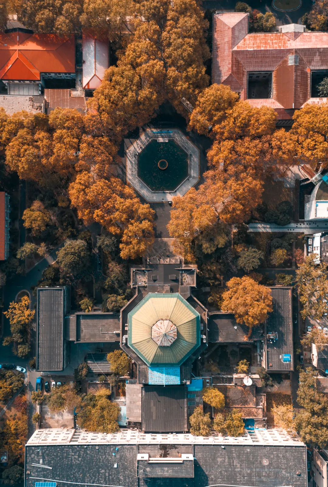 东南大学：我不是“福建大三本”