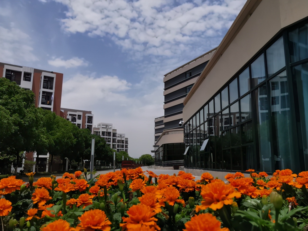 这类大学全国仅3所！一所还是“国字号”，创下多项“中国第一”！