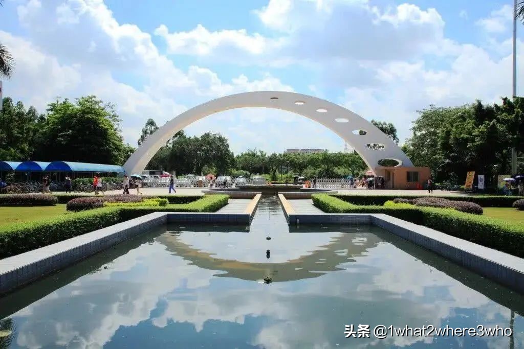 深圳大学专插本,深圳大学专插本有哪些专业