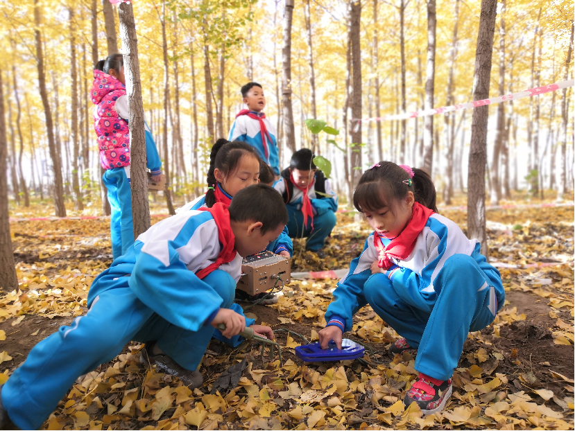 以职教资源优势助力区域劳动教育发展，北京昌平职校做得真不错