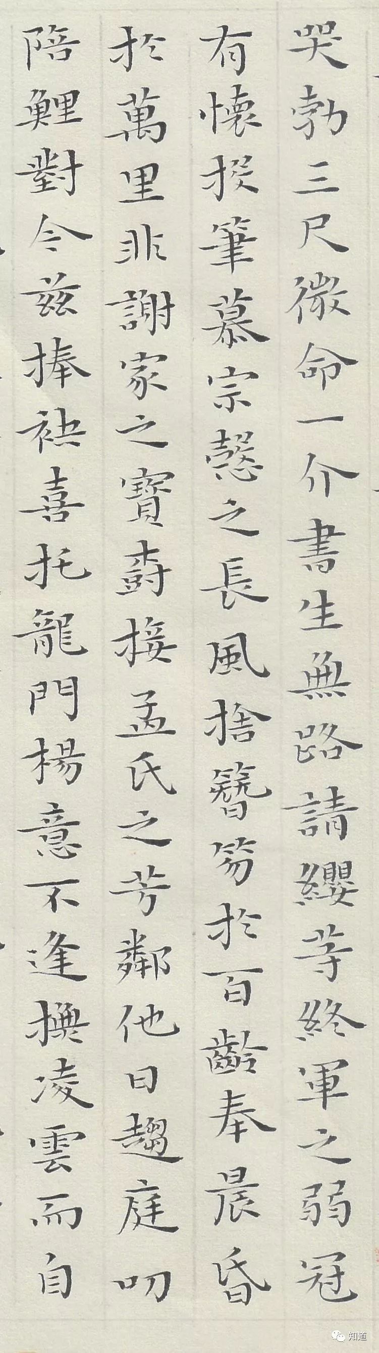 杨文彪小楷代表作图片