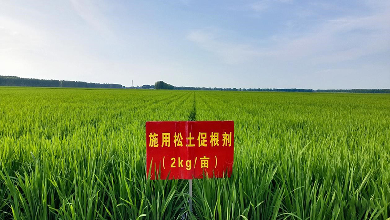 發展綠色農業，土壤改良是關鍵