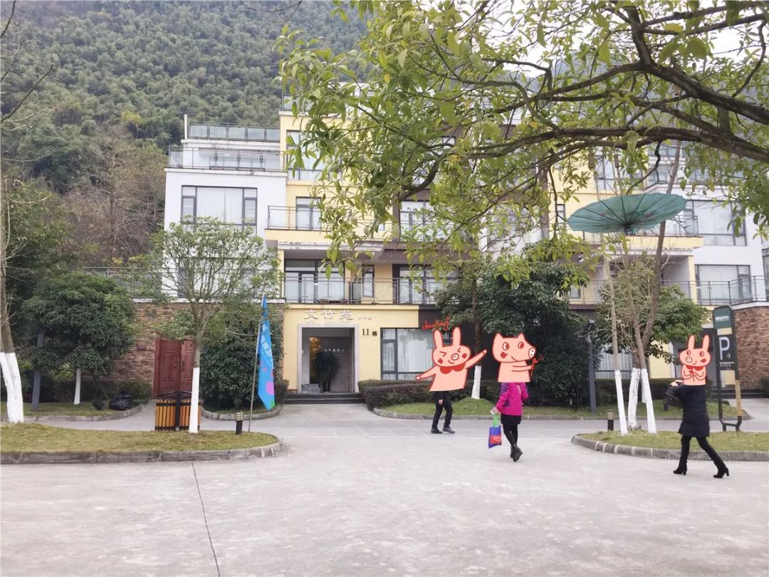 成都国色天香团购（泡温泉、看雪山、感受民族风情……成都父母冬日遛娃泡汤攻略）