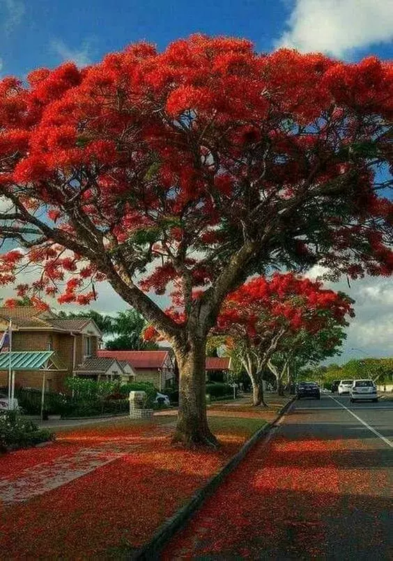 世界极致美景，一睹为快！