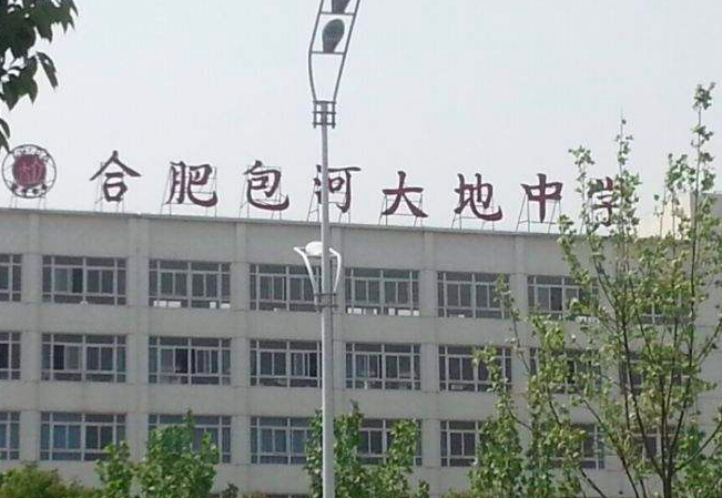 合肥南国寿春、滨湖寿春、包河大地等民办校2020招生说明