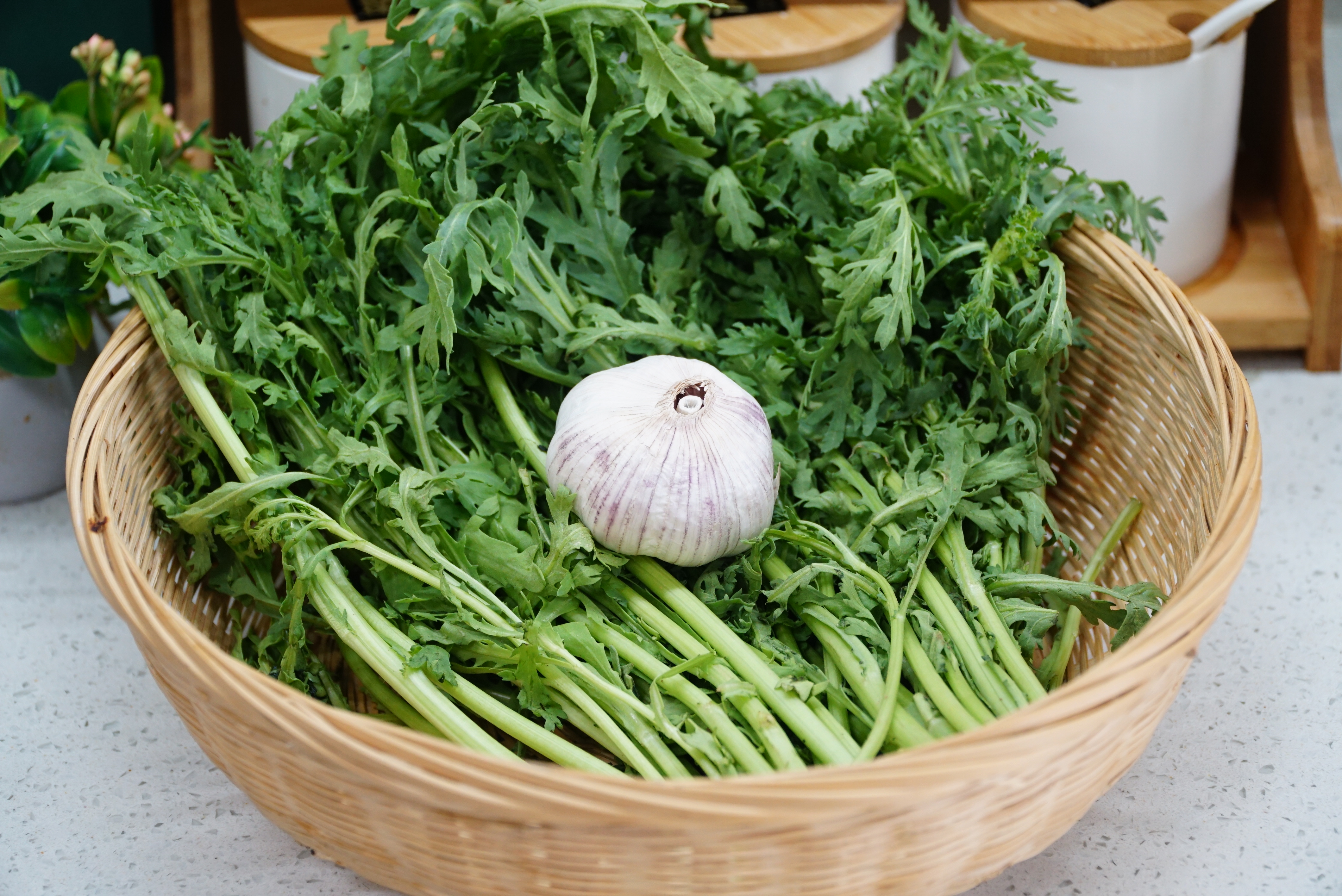 菊花菜圖片(入秋了) - 赤虎壹號