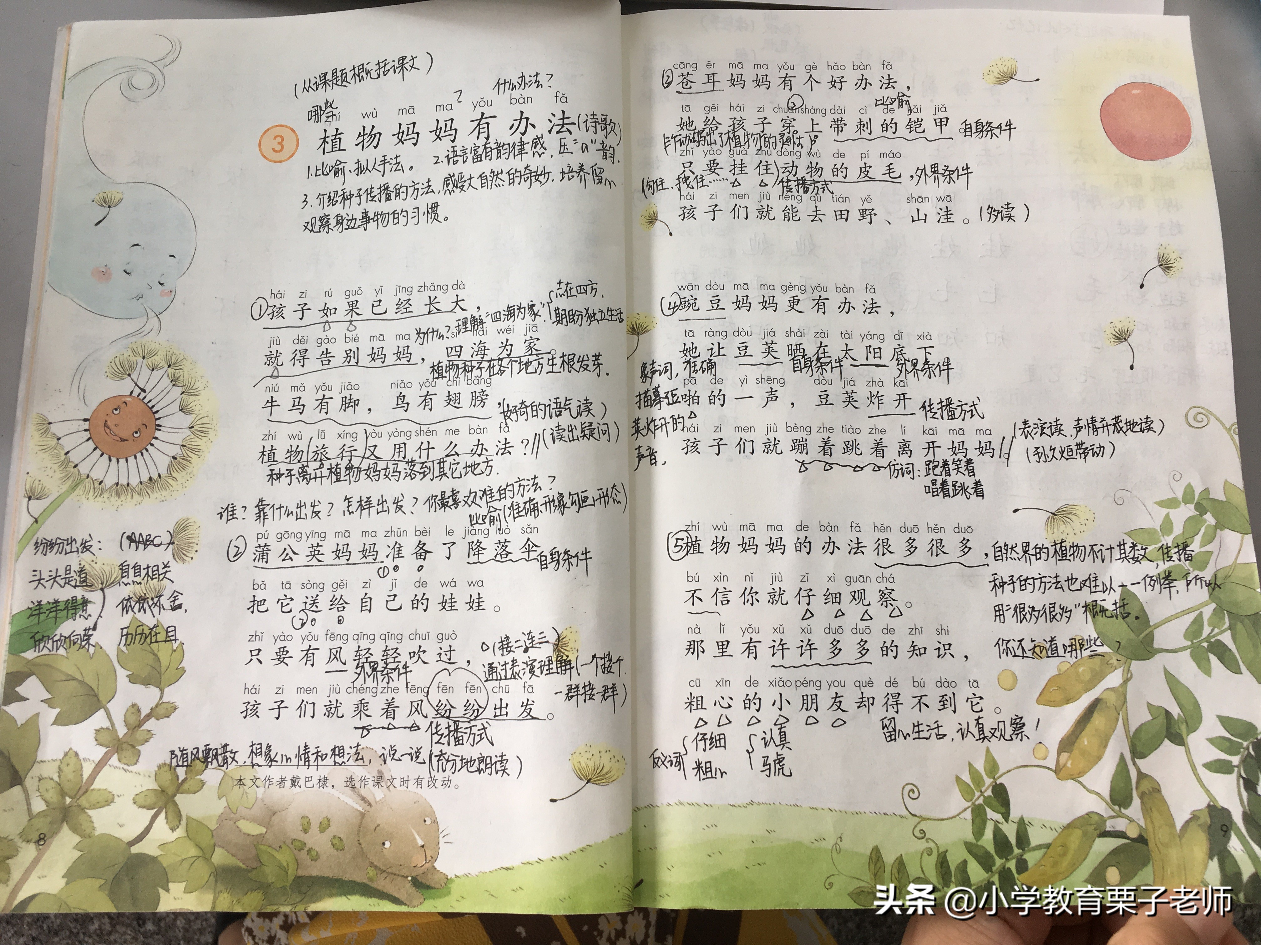 种子(zi)传播的方法（蒲公英种(zhong)子传播的方法）-大连信息网