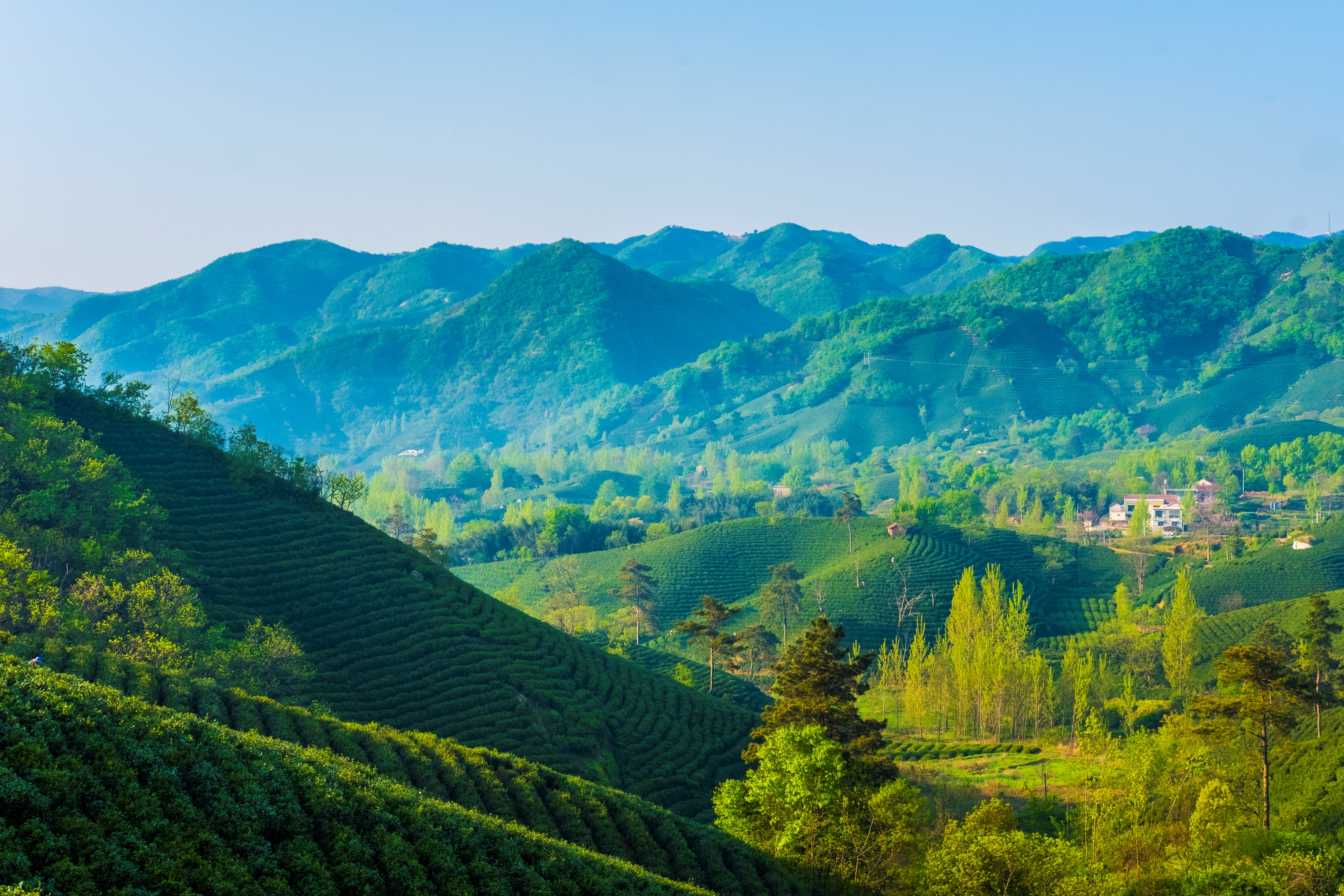 官宣！河南安徽两所高校准备更名大学，改名能提升办学实力吗？