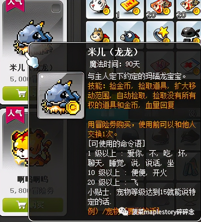 冒险岛宠物相关知识科普