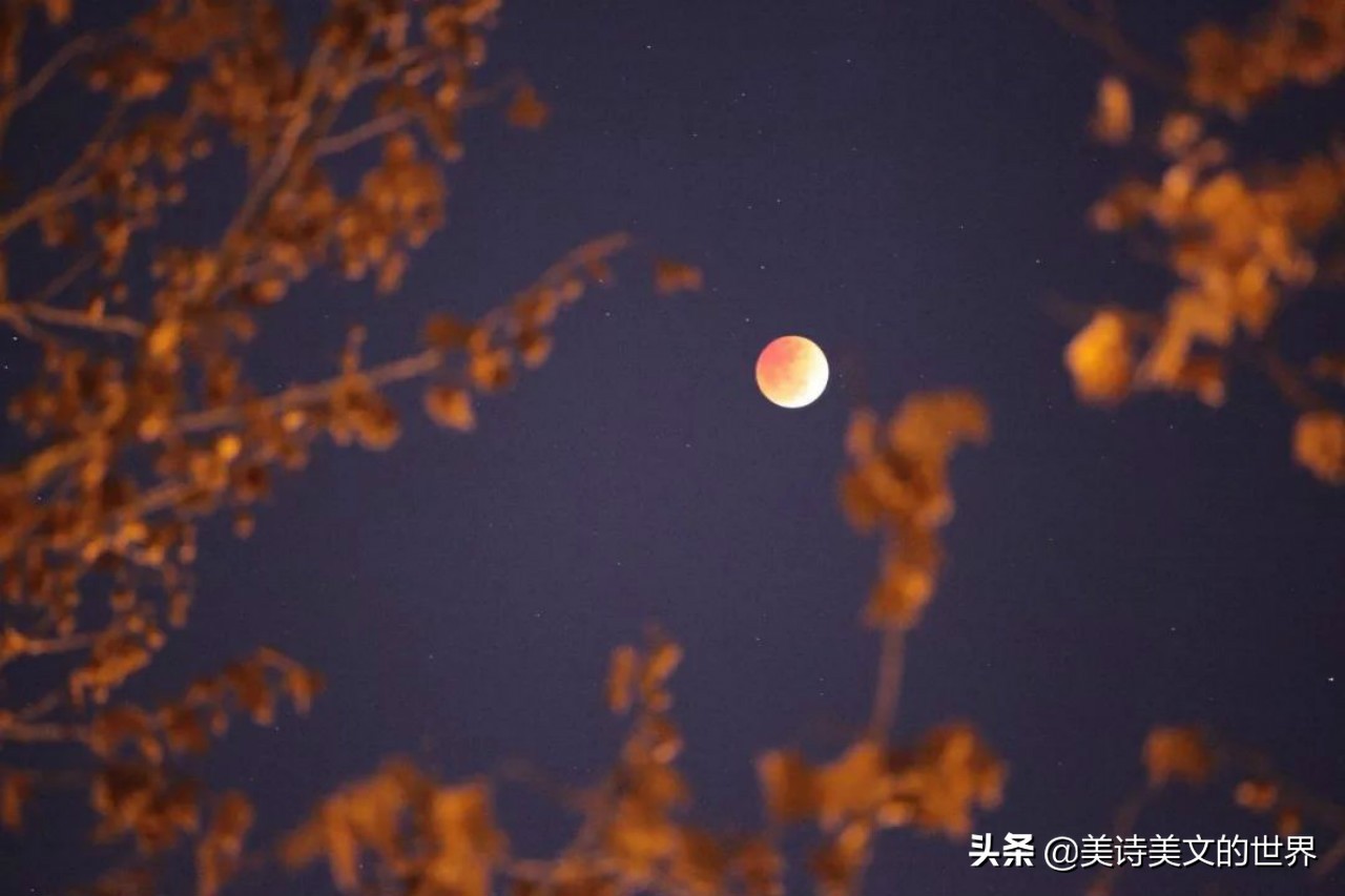 中秋夜，苏轼苏辙各写首《水调歌头》，一首千古绝唱一首感人肺腑