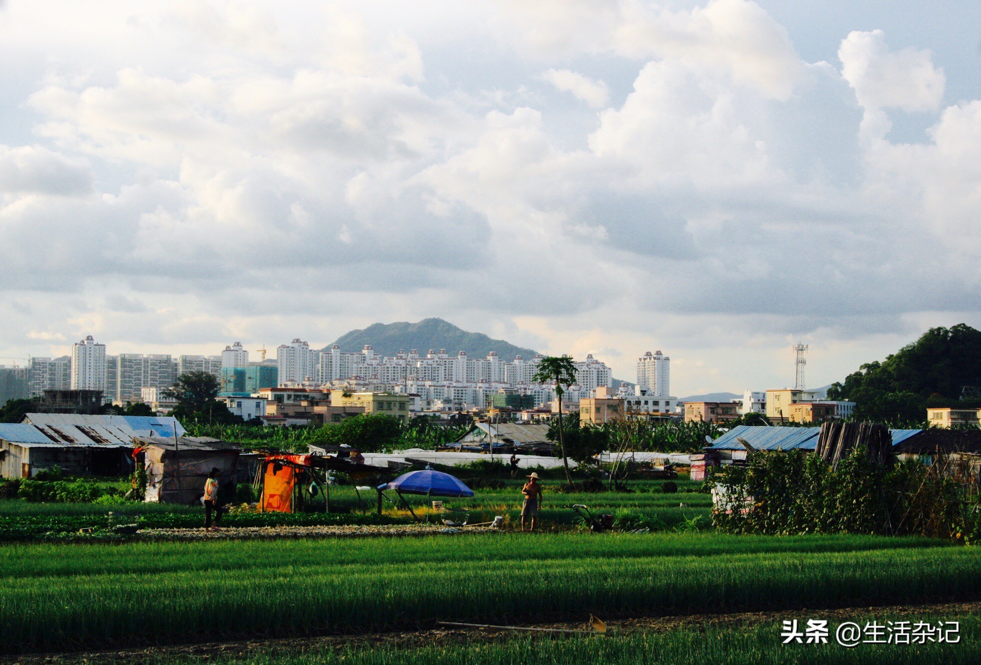 坦洲合胜百货招聘（过去与现在）