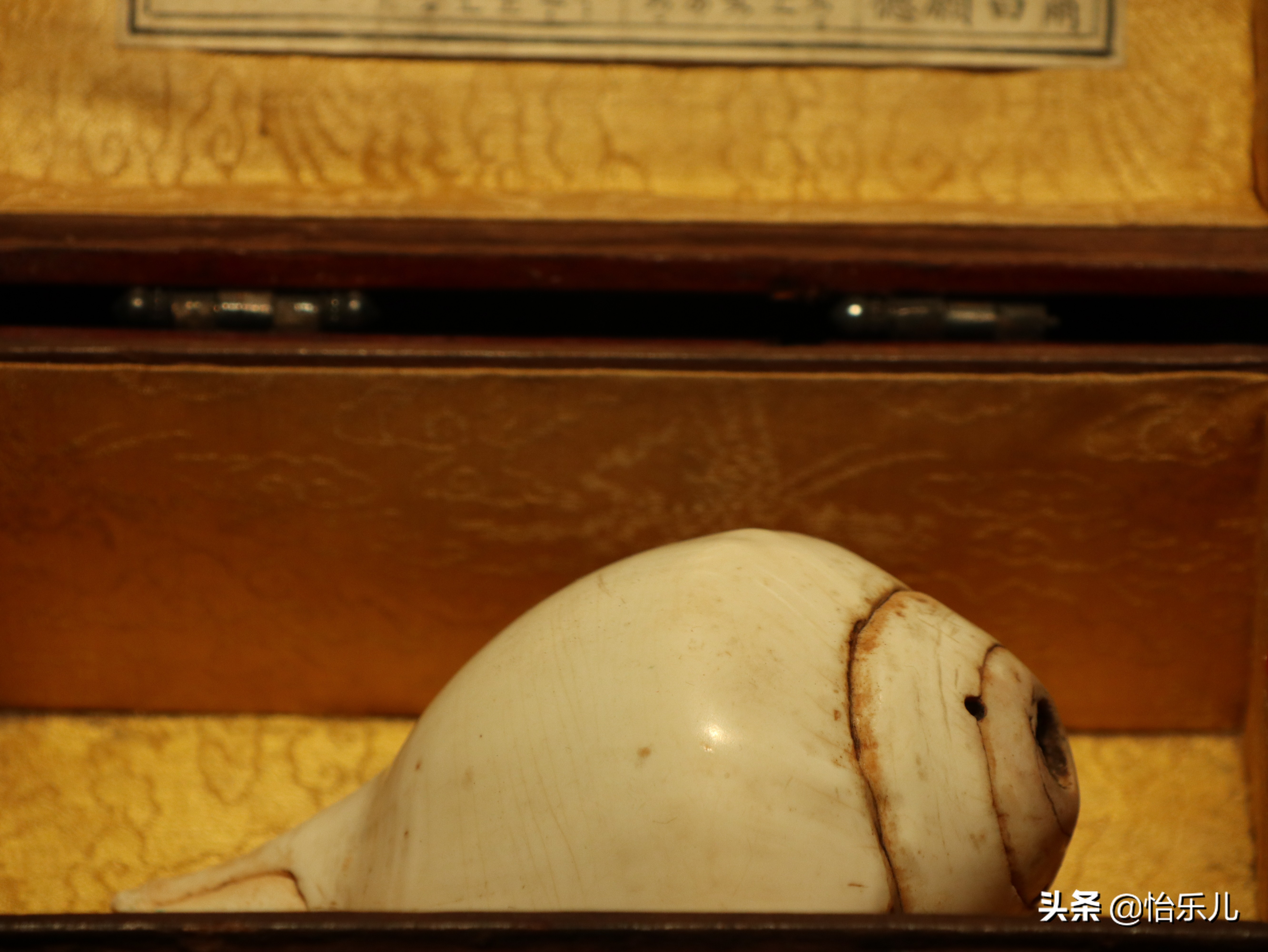 肉莲法器(肉莲法器的图片)-第23张图片