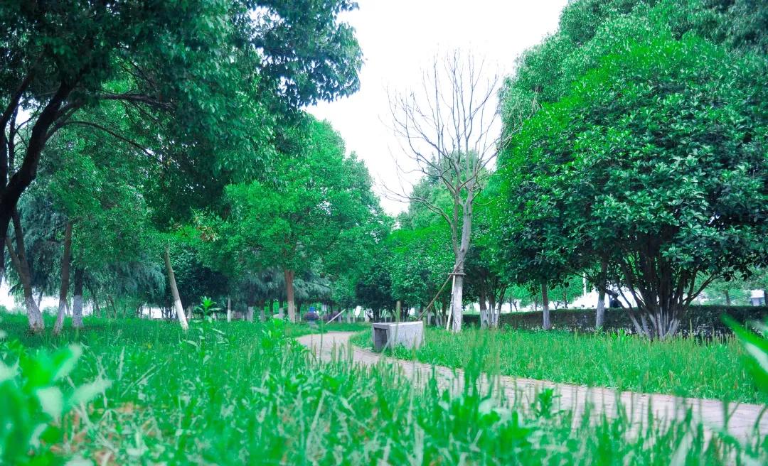 江苏省高校（五十一）南京航空航天大学金城学院