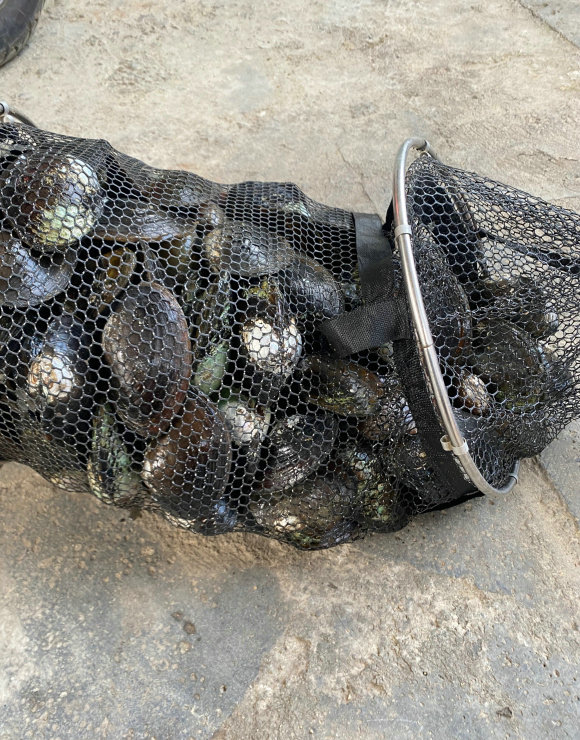 湖南钓友在水库钓鱼，沙滩上捡了一大袋河蚌，这能吃？