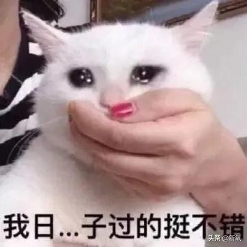 回国就能让内娱变天的天降紫薇星,还没红就塌得一干二净了?