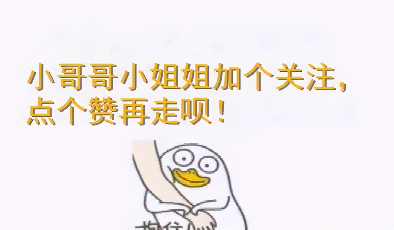 猫咪常见的6种撒娇方式，你体验过哪种？