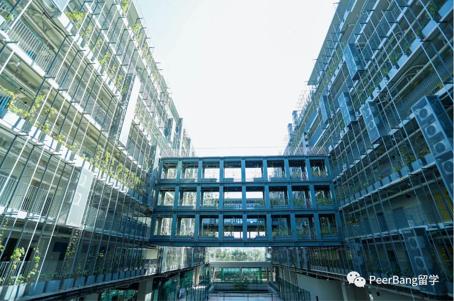 哪所国际学校升学最强？来看胡润最牛国际中学排名