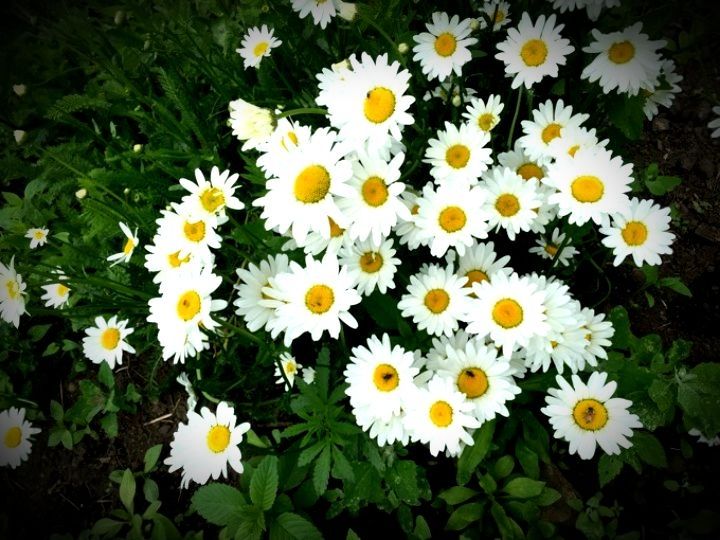 令人难以忘怀的梦幻禾木