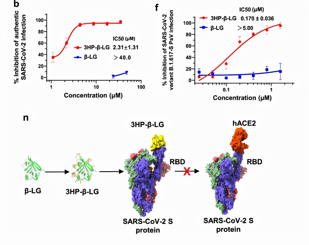 新冠病毒研究又有新进展！中国团队成果登上Nature子刊，获国际关注！
