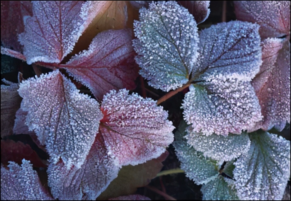 雪上加霜的意思 雪上加霜的释义-起航号