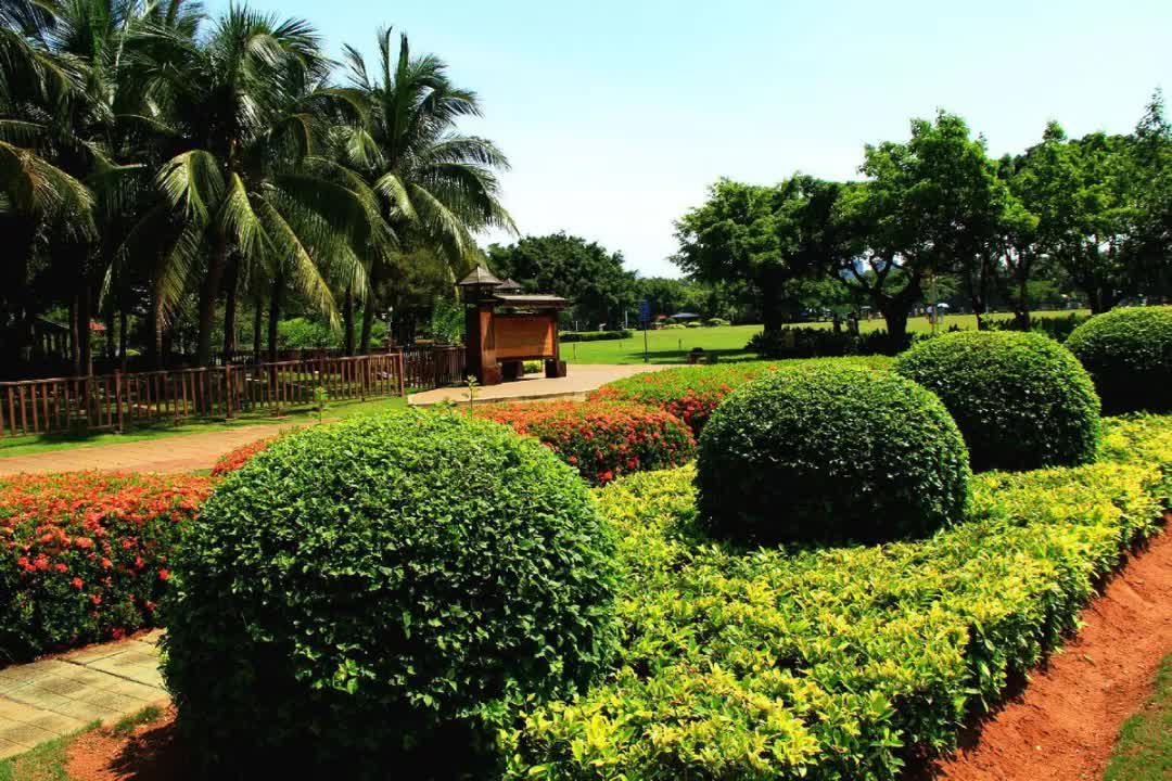 海口旅游景点 海口一日游必去景点-徐拾记官网