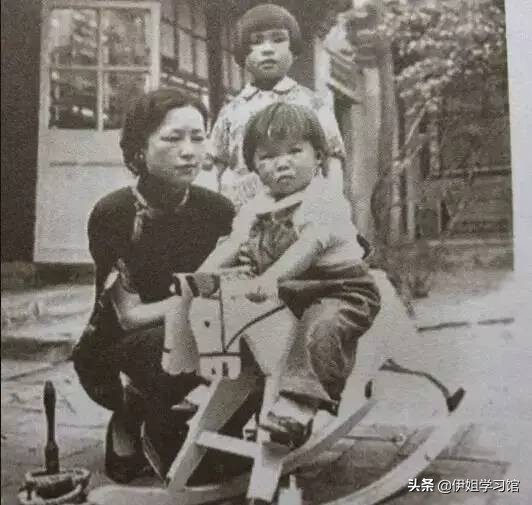 重读梁从诫《我的母亲林徽因》，支持和理解并深深热爱