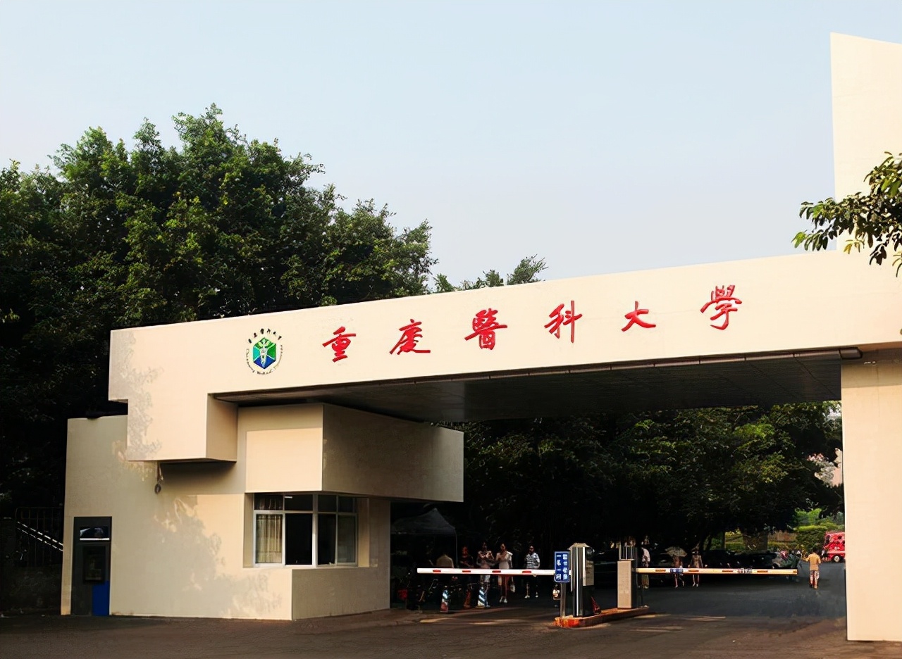 重庆“种子号选手”落榜双一流？背后暴露的问题，让人担忧