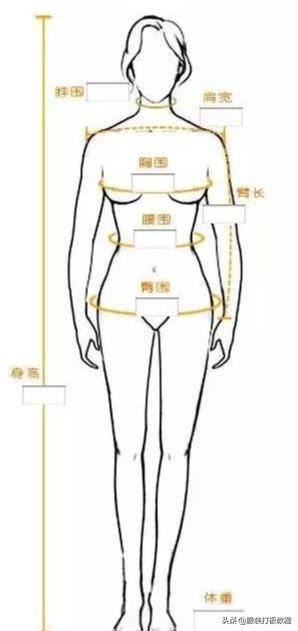 衣长怎么量的正确方法图（量体裁衣7点方法要素）