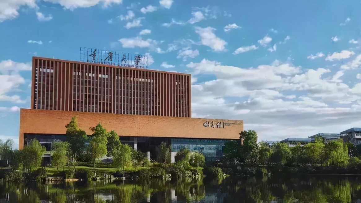 3个学位点撤销！涉及重庆大学、西南大学