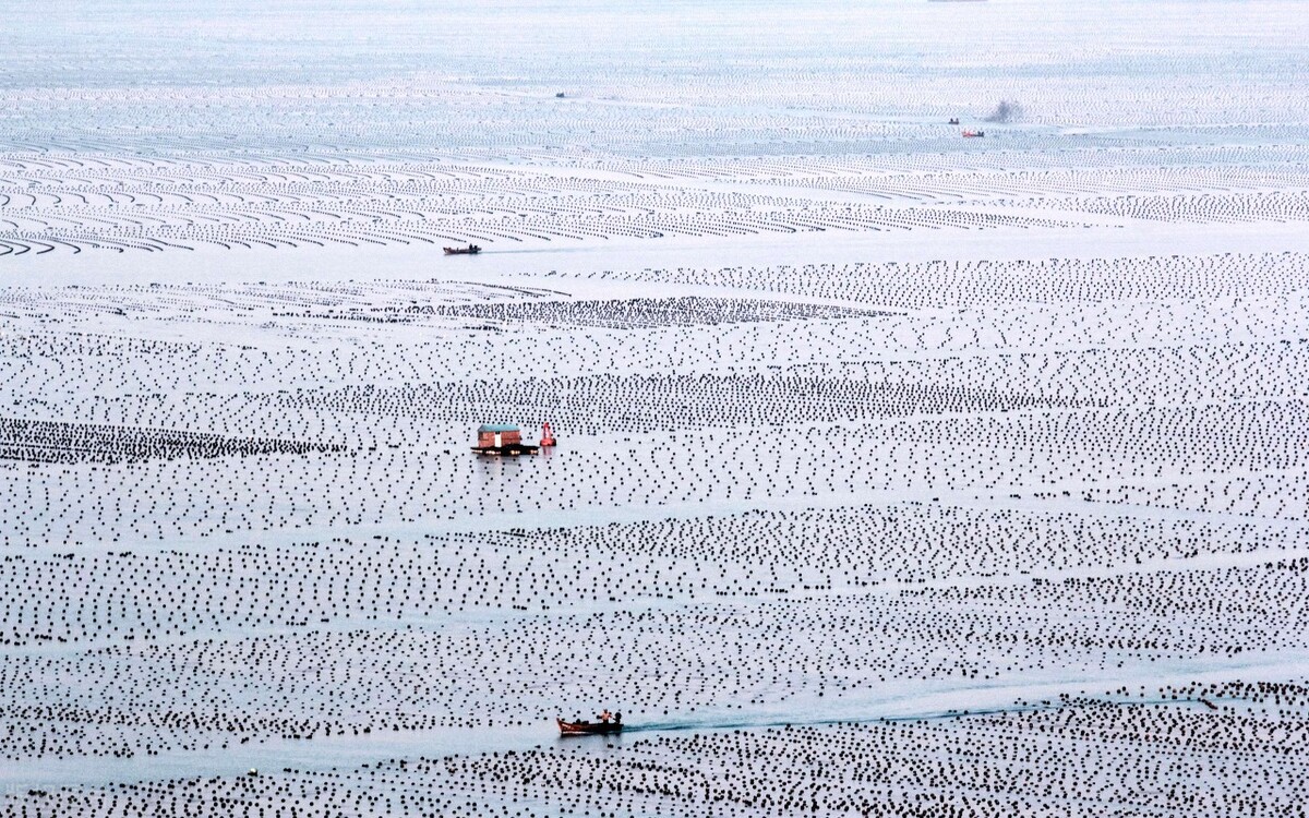 大力发展海洋低碳技术、实现海洋负排放