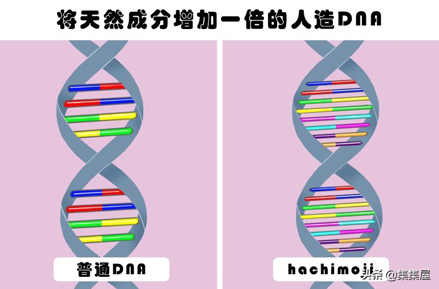 在2019年出现18个或许能够改善我们生活质量的科技进步