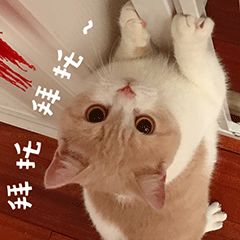 猫咪突然拉肚子了，该怎么办？