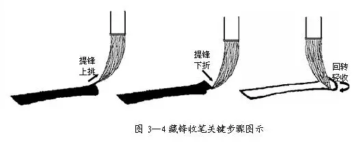 什么是中锋(关于中锋、侧锋、偏锋的解读)