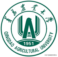 山东最好的二十所大学排行榜，请问有你母校吗？