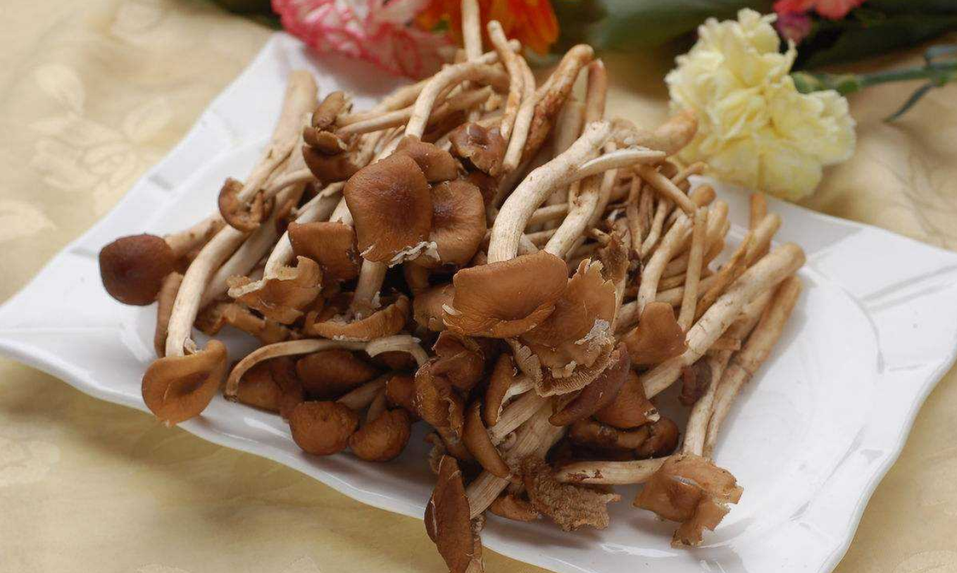 爱吃茶树菇的一定要收藏，教你5种茶树菇的家常做法，健康又好吃